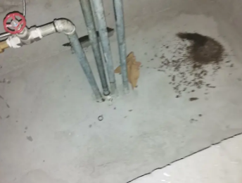 商丘卫生间测漏水价格明细